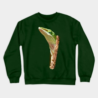 Peeping Green Anole Crewneck Sweatshirt